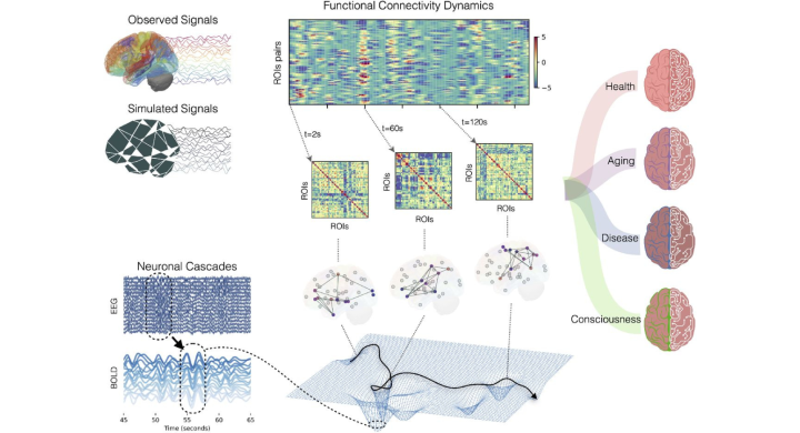 VBT of resting- and altered-states.
