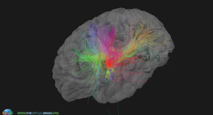 Zoom Landscape 2x 1 E9b4211208