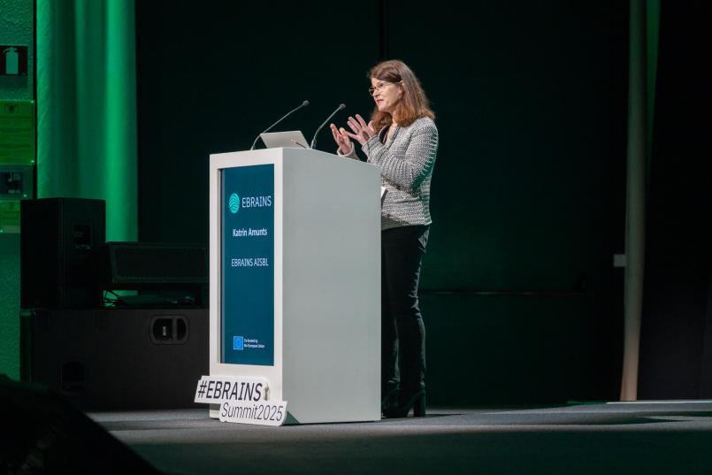 Photo of Katrin Amunts