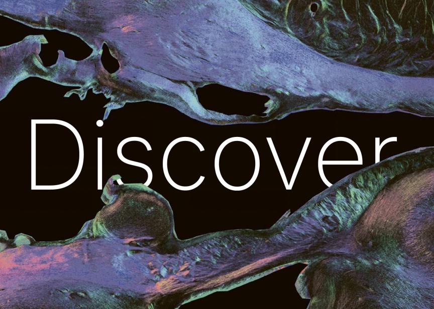 Excerpt of cover of Discover EBRAINS brochure