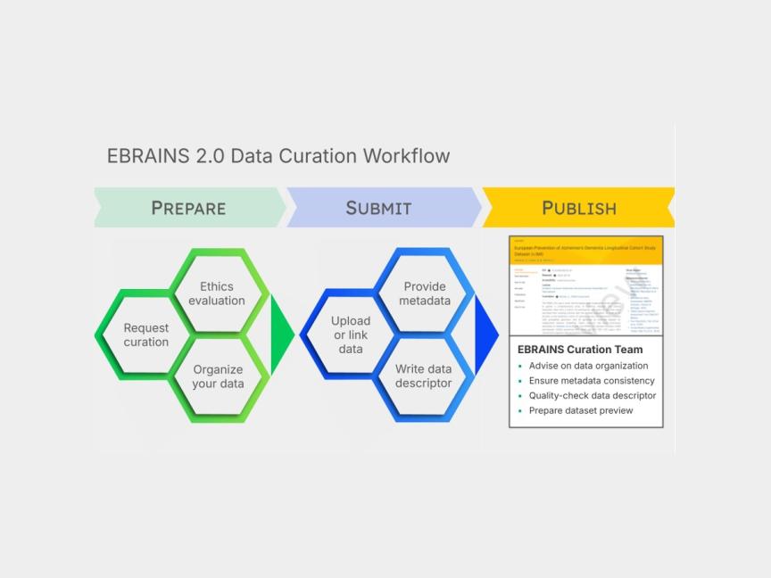 Infographic of data curation workflow