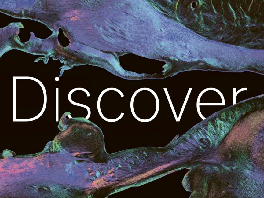 Cover of the Discover EBRAINS brochure