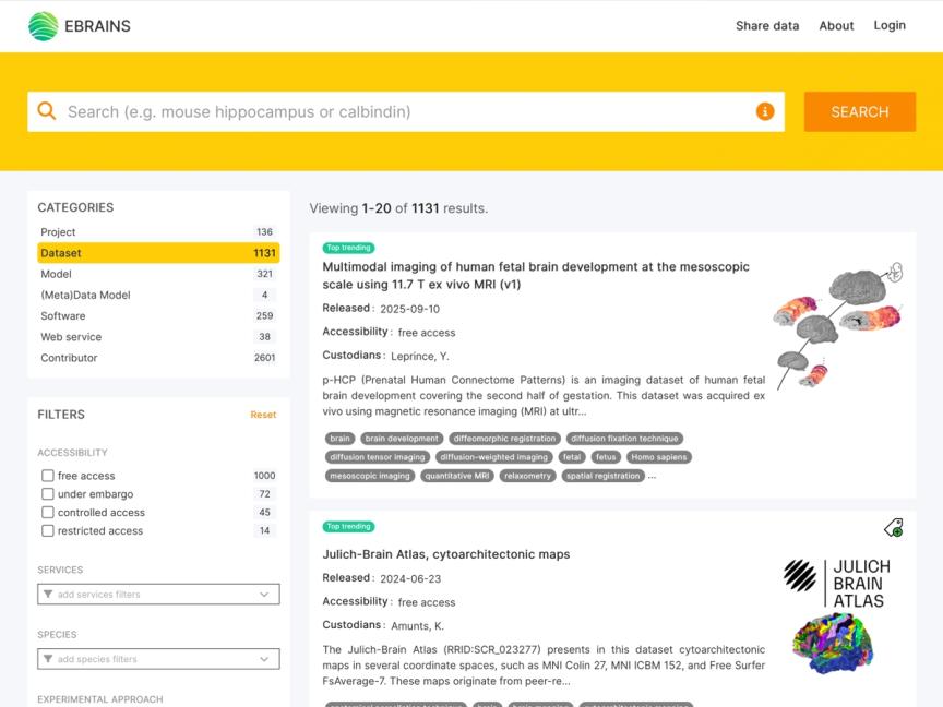 Screenshot of EBRAINS Knowledge Graph