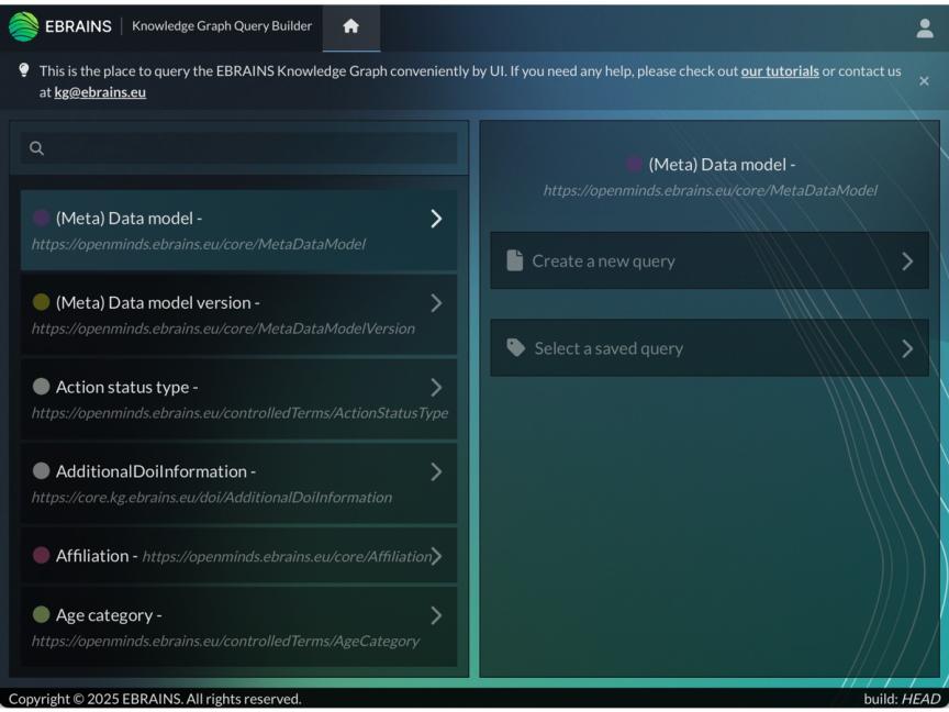 Screenshot of EBRAINS Knowledge Graph Query Builder