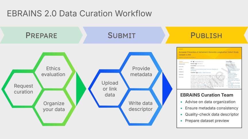 Curation Workflow