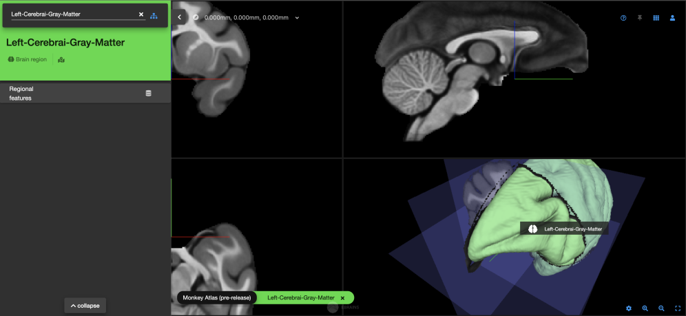 Screenshot of the Monkey Brain Atlas