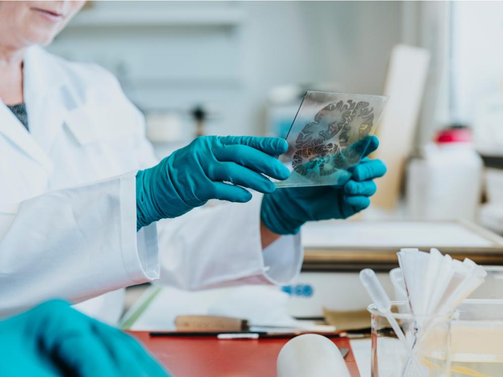 Researchers working in a lab
