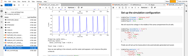 NetPyNE Tutorial Example