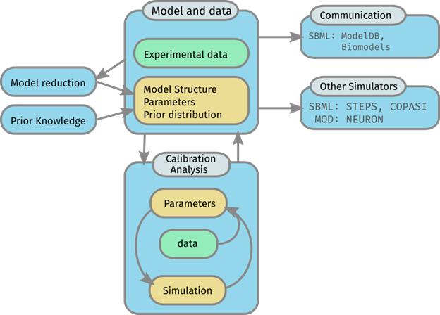 Subcellular Model Building And Calibration Toolset
