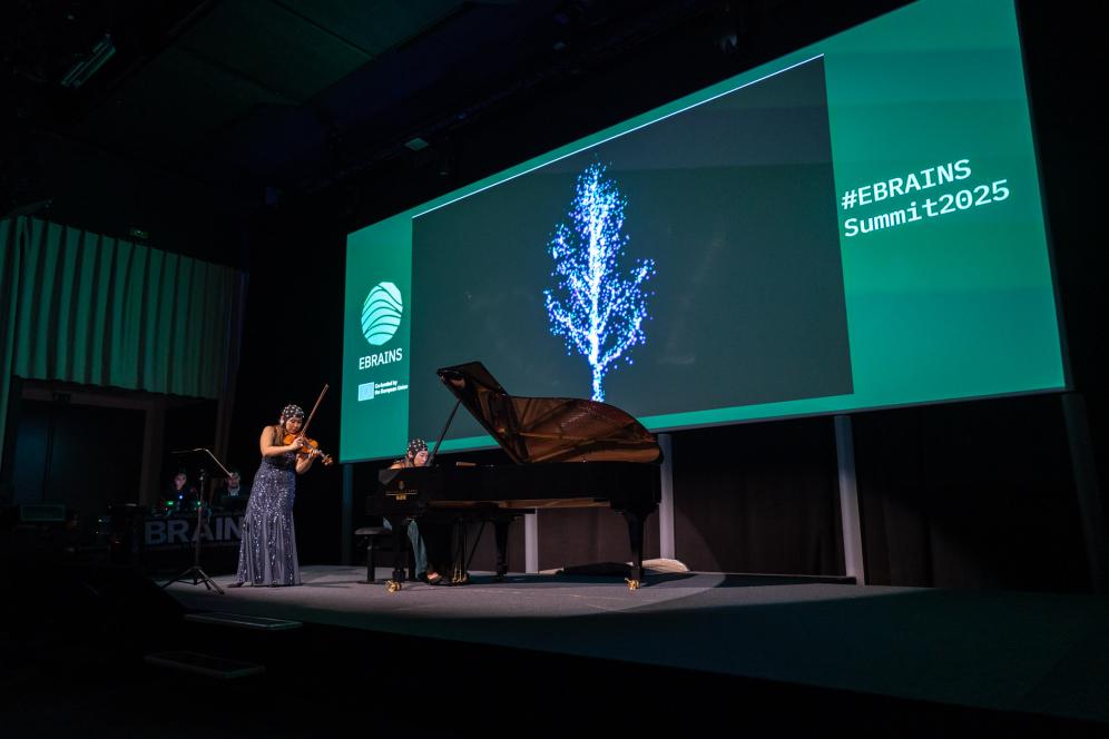 Photo of the artistic performance at the EBRAINS Summit 2025