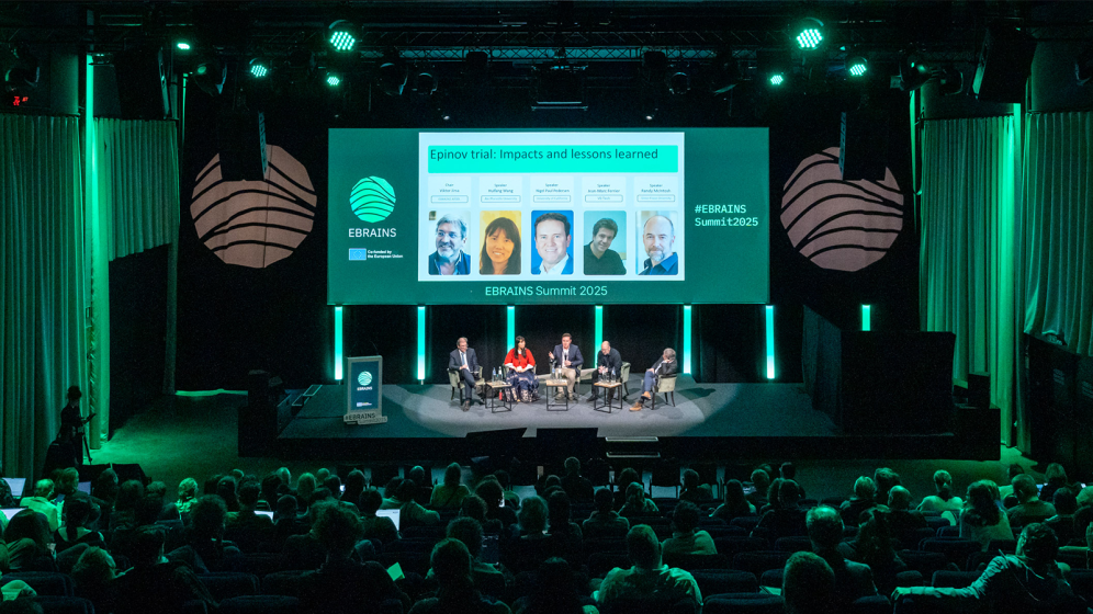 Photo of Epinov Trival session at the EBRAINS Summit 2025