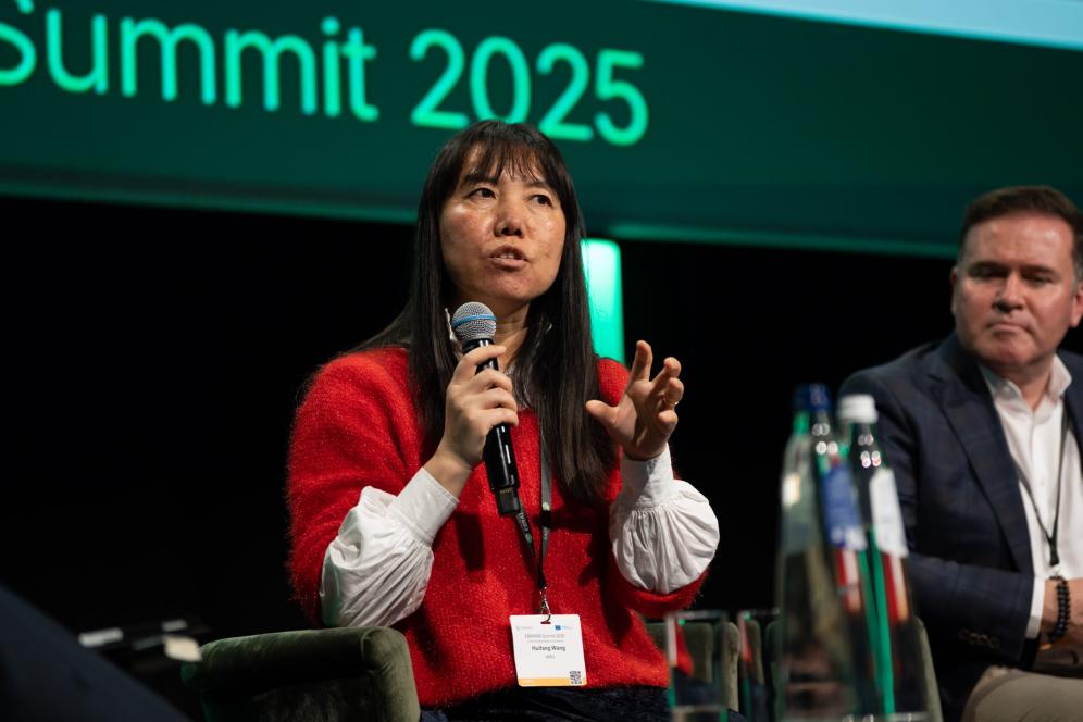 Photo of Huifang Wang