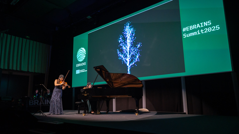 Photo of Stella Chen and Mei Rui performing