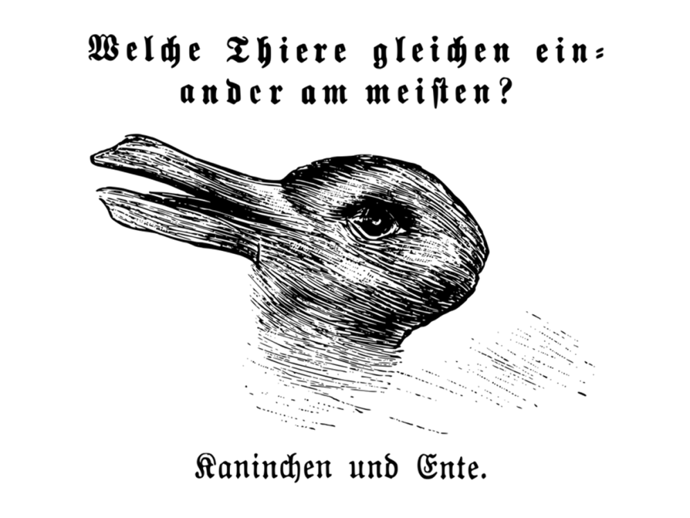 Illustration of the rabbit-duck illusion