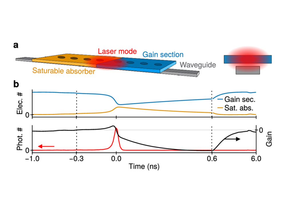 Schematic of a spiking nanolaser