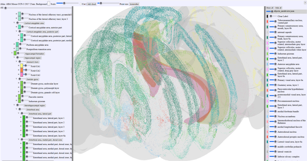 MeshView_point_cloud_illustration.png 