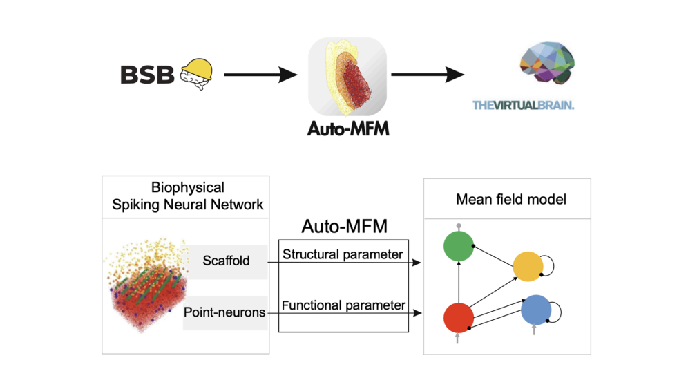 Auto-MFM Figure