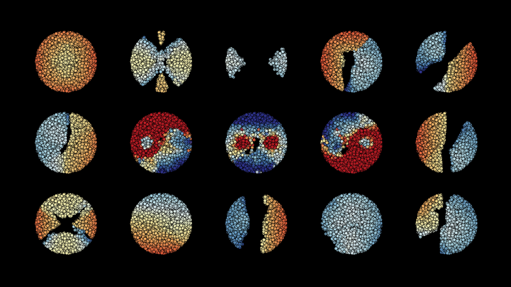 Illustration of the on-chip classification process with the Yin-Yang dataset