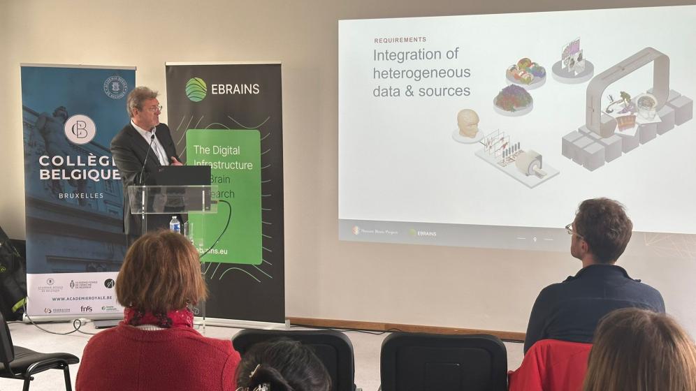 Bam Festival Presentation