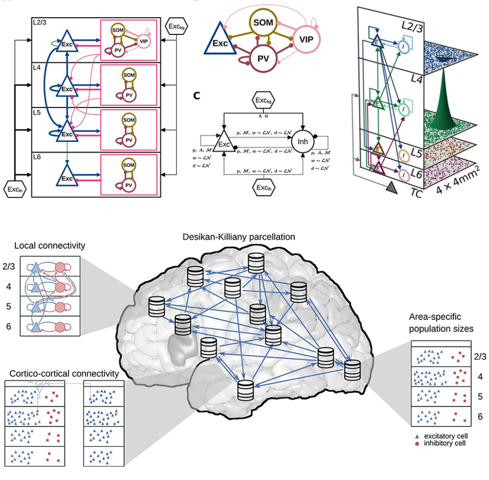 Schematic Representations Of The Architecture Of The Three Spiking Network Models 2