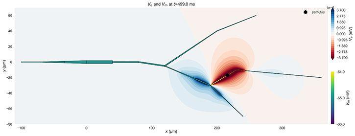Tutorial Lfpykit 6b3ba857ea